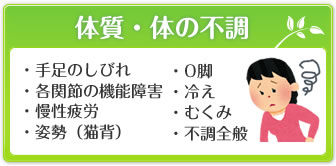 体質・体の不調
